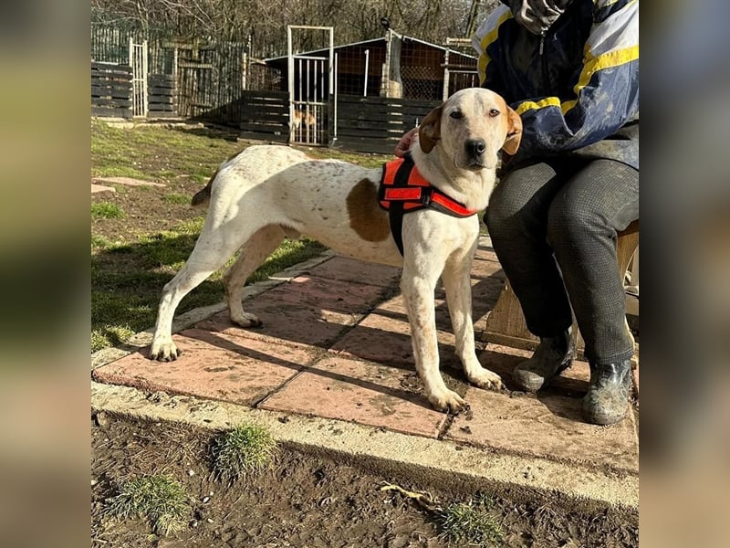 LUCK (*2023) möchte gerne ankommen