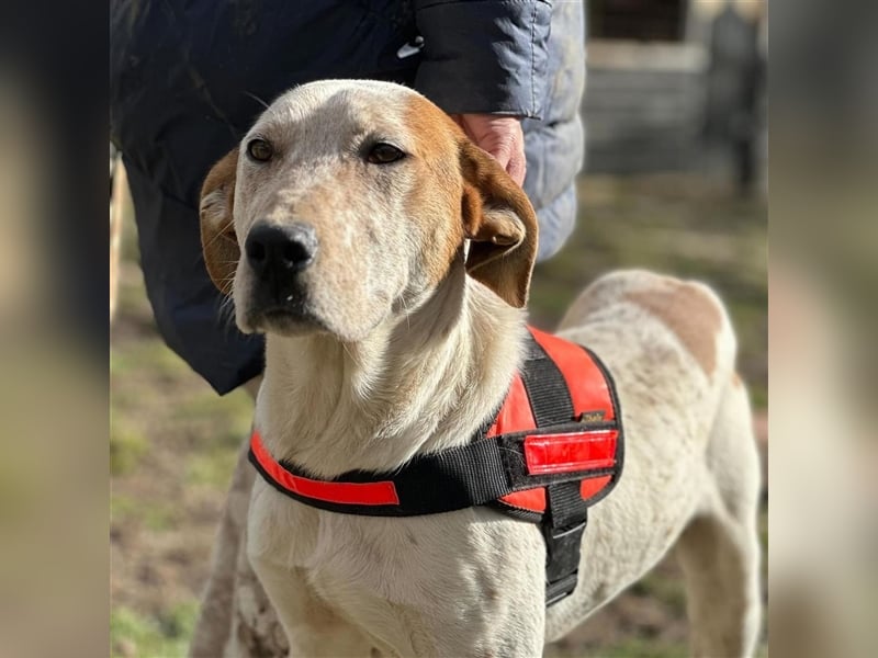 LUCK (*2023) möchte gerne ankommen