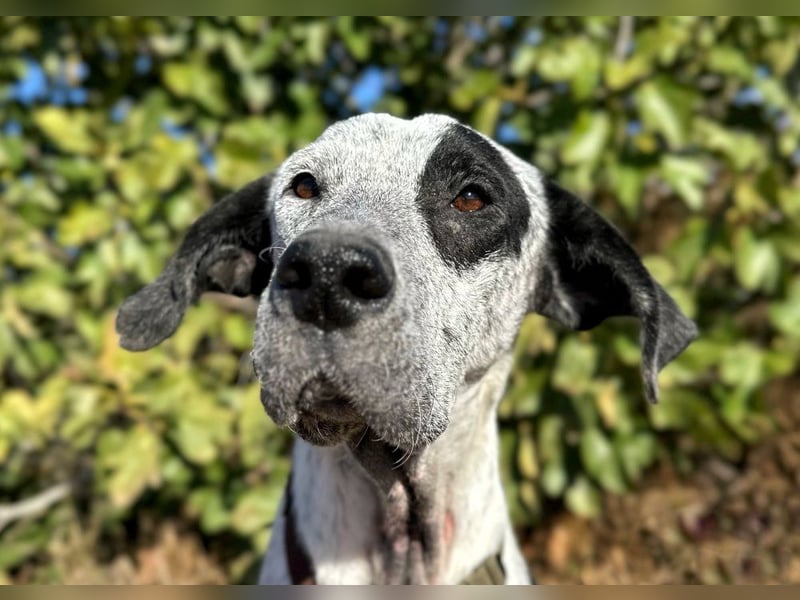 Funny-der Name ist Program Funny-der Name ist Program