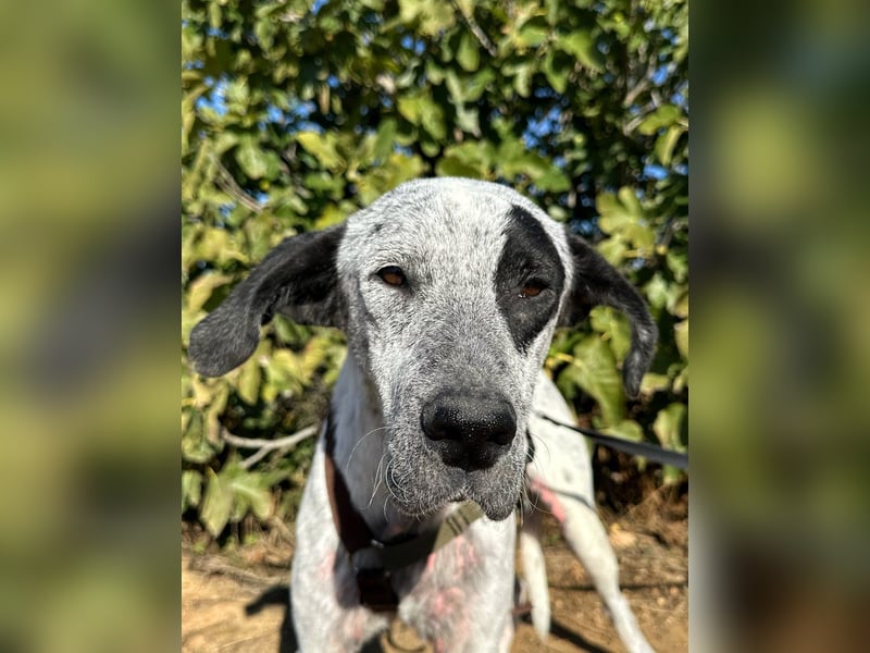 Funny-der Name ist Program Funny-der Name ist Program