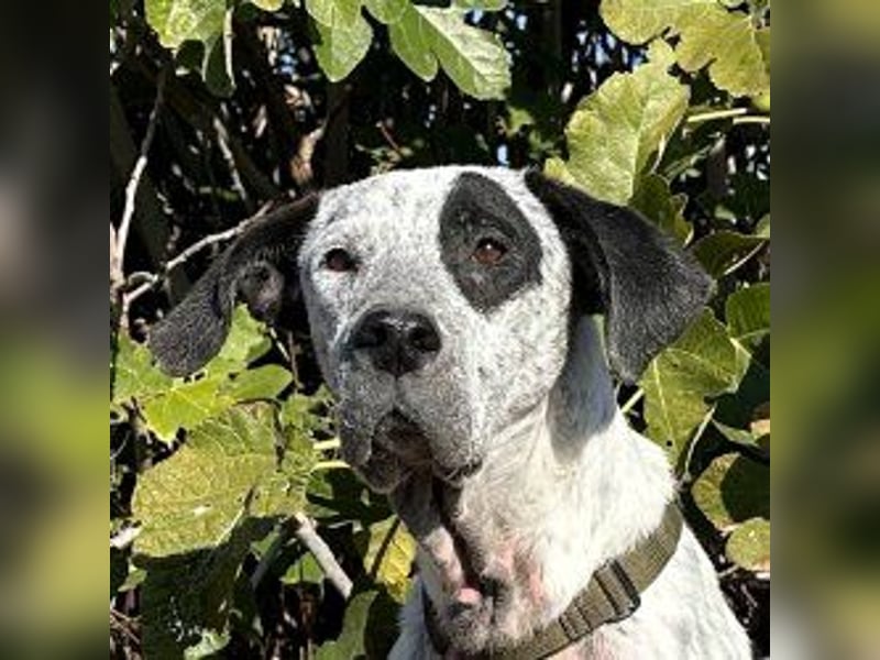 Funny-der Name ist Program Funny-der Name ist Program