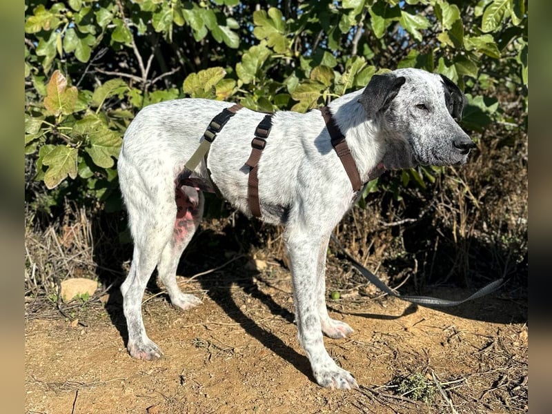 Funny-der Name ist Program Funny-der Name ist Program