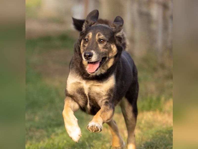 Bubulina- zurückhaltende süße Zuckermaus