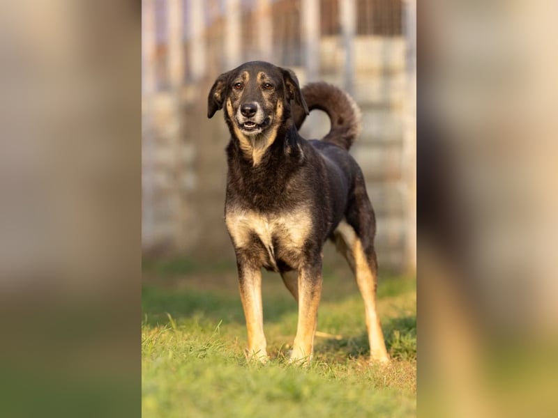 Bubulina- zurückhaltende süße Zuckermaus