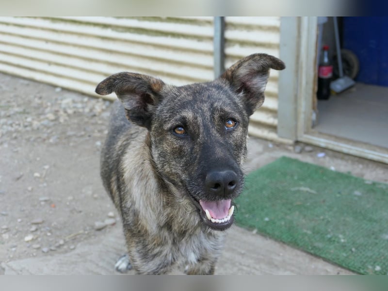 Cantabile - Sportlerin sucht aktive Menschen