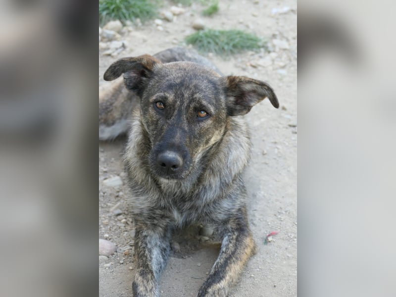 Cantabile - Sportlerin sucht aktive Menschen