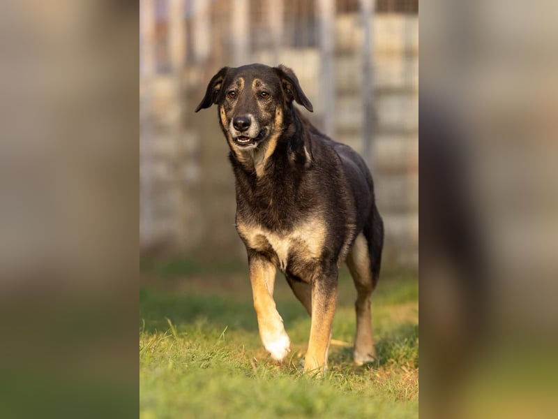 Bubulina- zurückhaltende süße Zuckermaus