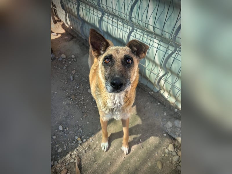Flavia – bereit für ein neues Leben