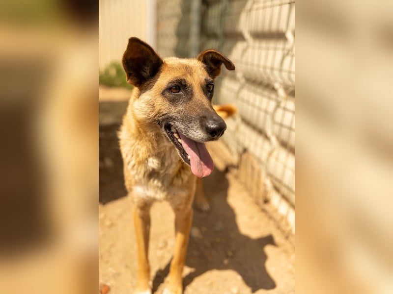Flavia – bereit für ein neues Leben