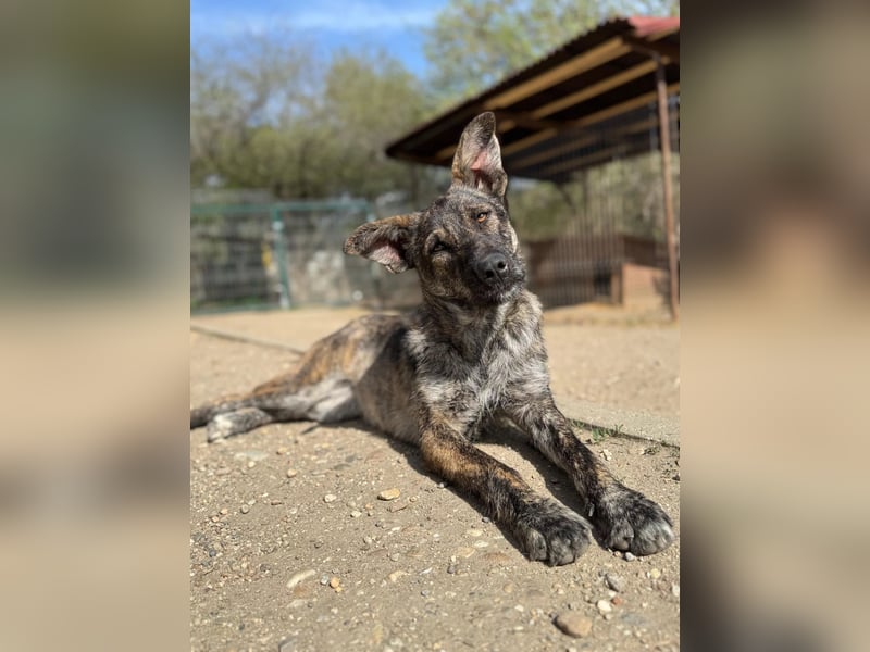 Cantabile - Sportlerin sucht aktive Menschen