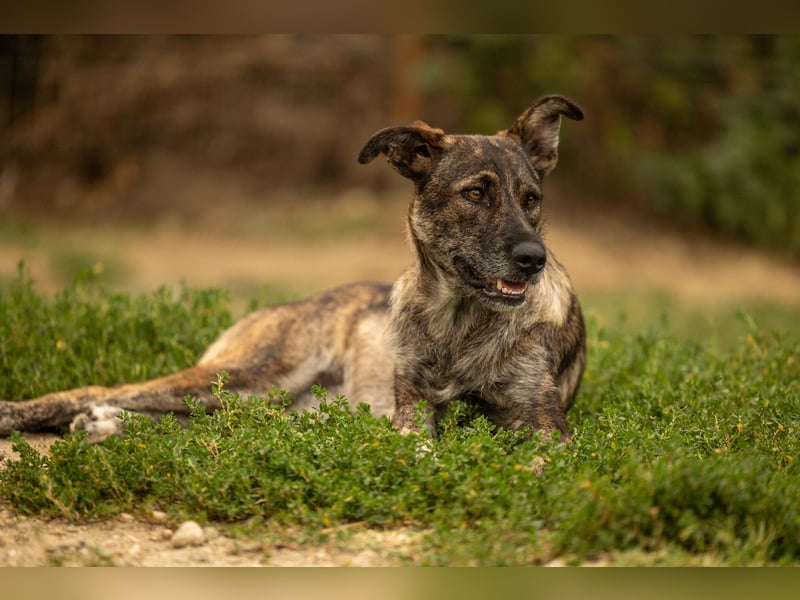 Cantabile - Sportlerin sucht aktive Menschen