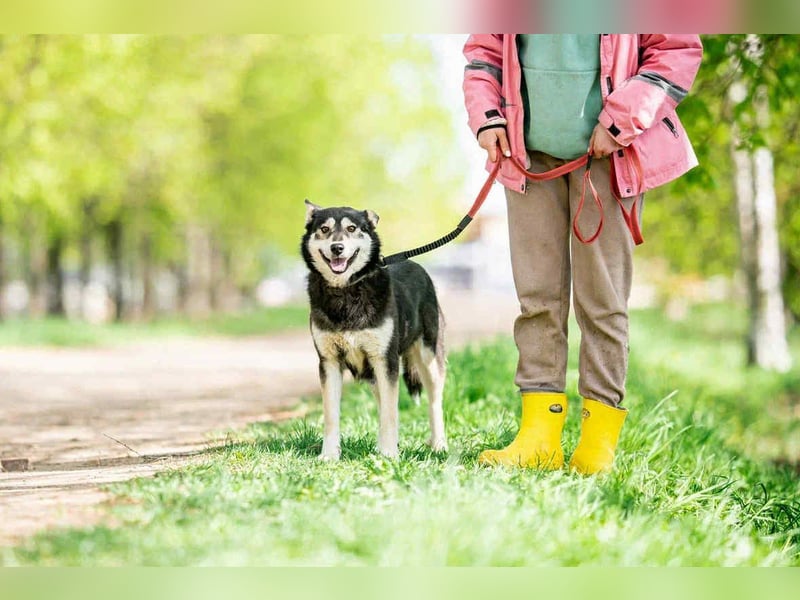 Frohnatur Lina sucht liebevolles Zuhause