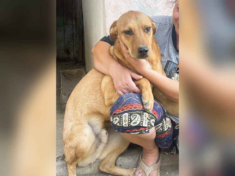 Herzensbrecher und Sunnyboy „Sancho“ - sucht seine Familie