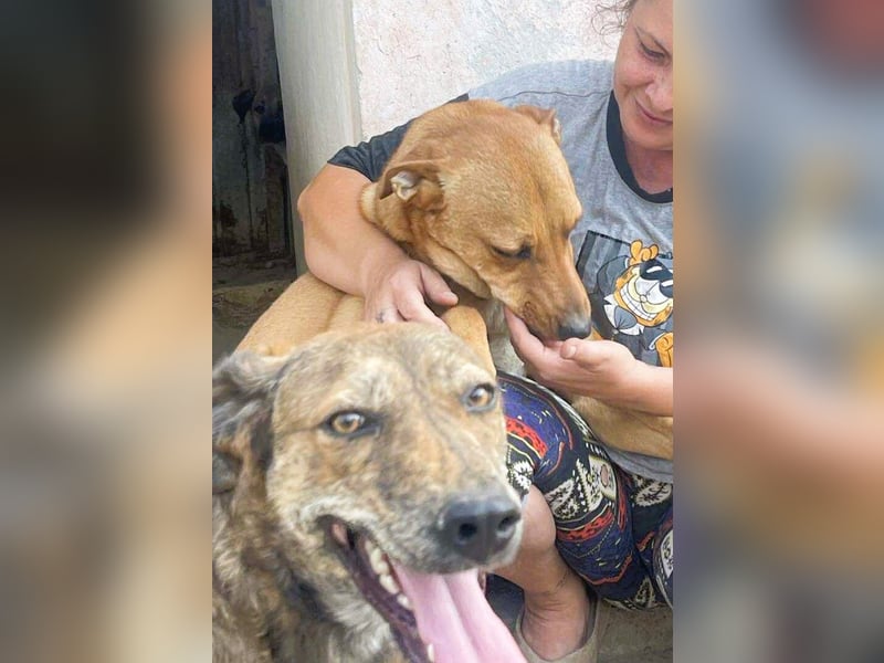 Herzensbrecher und Sunnyboy „Sancho“ - sucht seine Familie