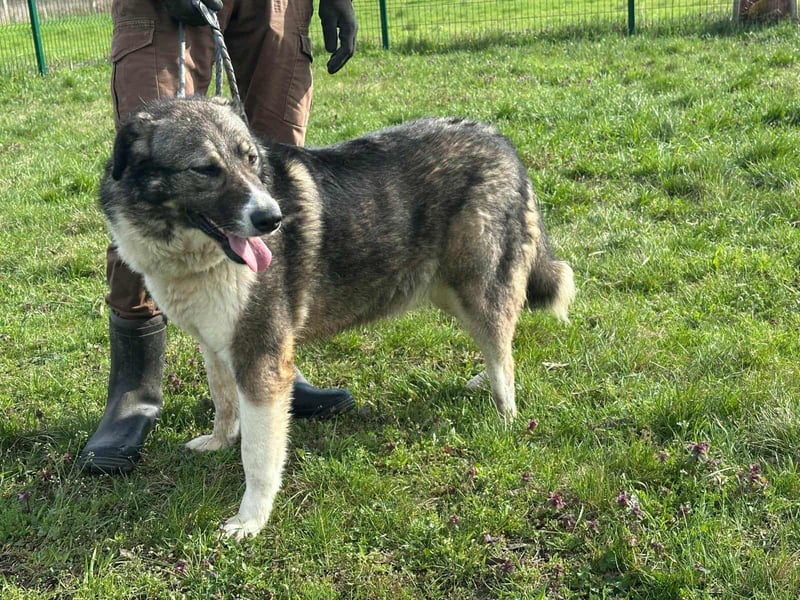 Sunny, geboren 01.12.2019, 63cm sucht ihr Glück