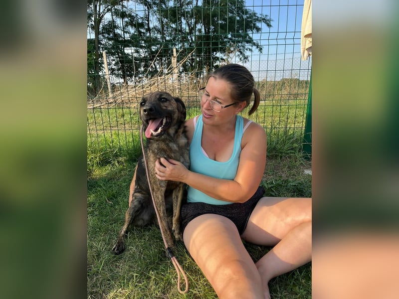 Samy, geboren 05.08.2022, 56cm sucht sein Zuhause