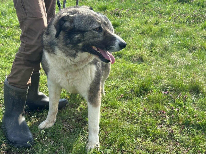 Sunny, geboren 01.12.2019, 63cm sucht ihr Glück