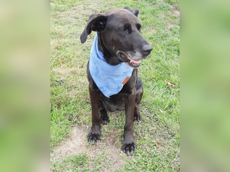 Dolly, geboren 30.12.2015, 60cm sucht ihr Zuhause (auf Pflegestelle in Deutschland)