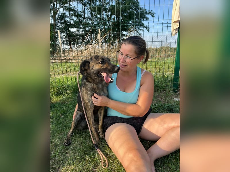 Samy, geboren 05.08.2022, 56cm sucht sein Zuhause