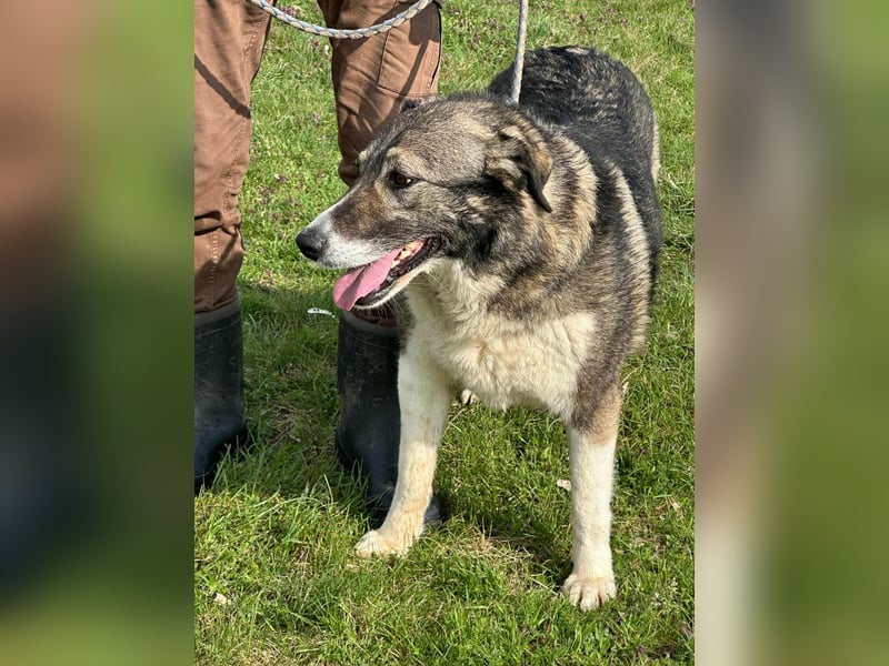 Sunny, geboren 01.12.2019, 63cm sucht ihr Glück