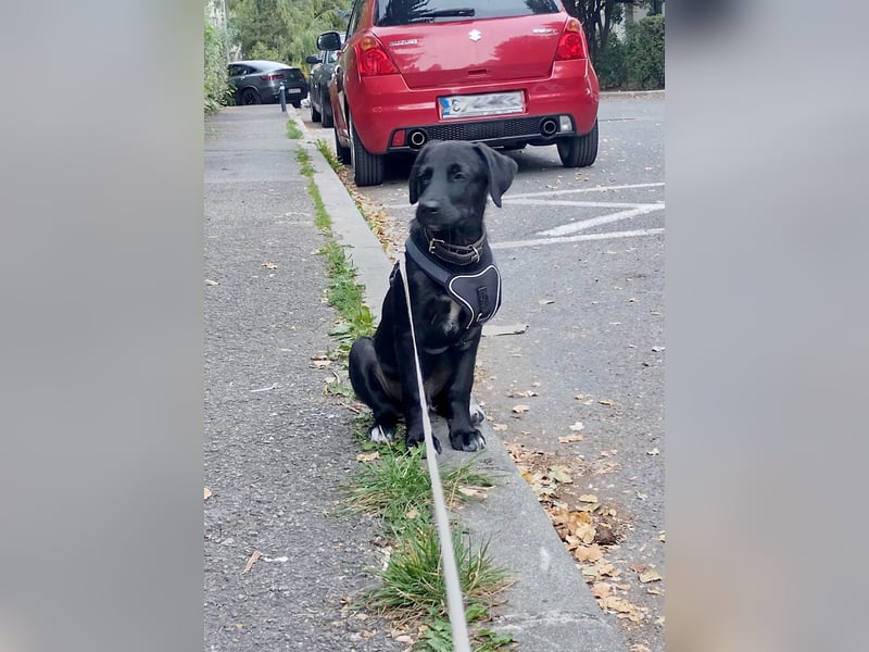 Goldiger Atlas sucht seine Menschen Goldiger Atlas sucht seine Menschen