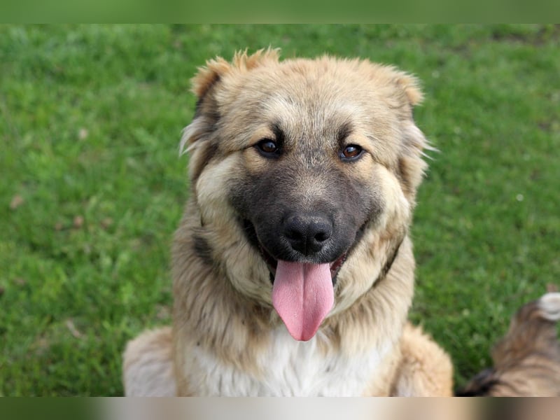 Knuffige Arika sucht ihre eigene Familie