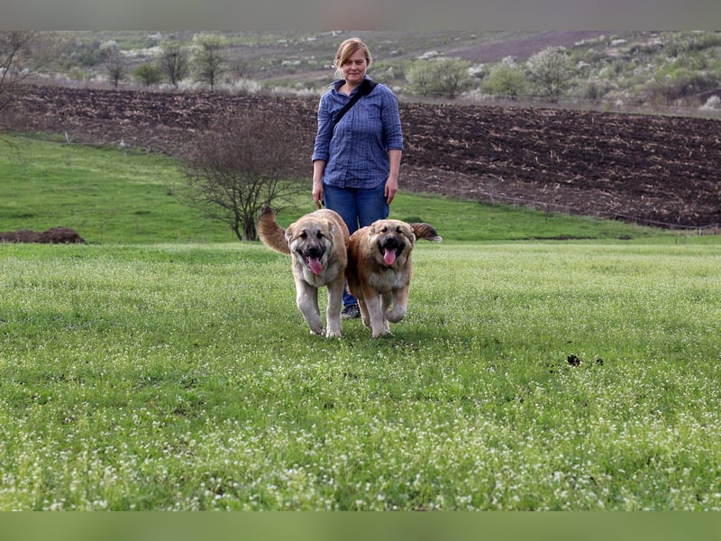 Knuffige Arika sucht ihre eigene Familie