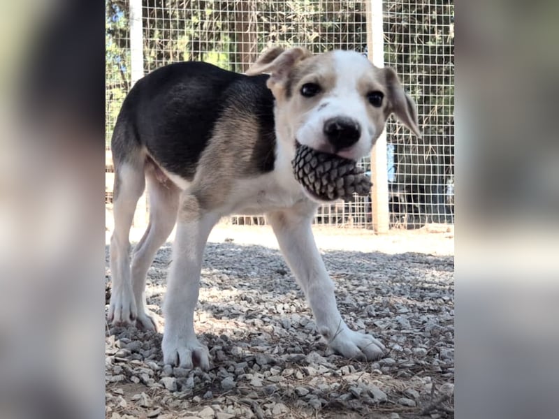 ZEUS – trägt einen großen Namen