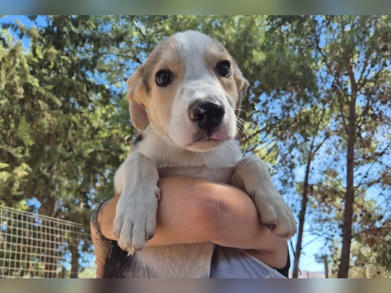 ZEUS – trägt einen großen Namen