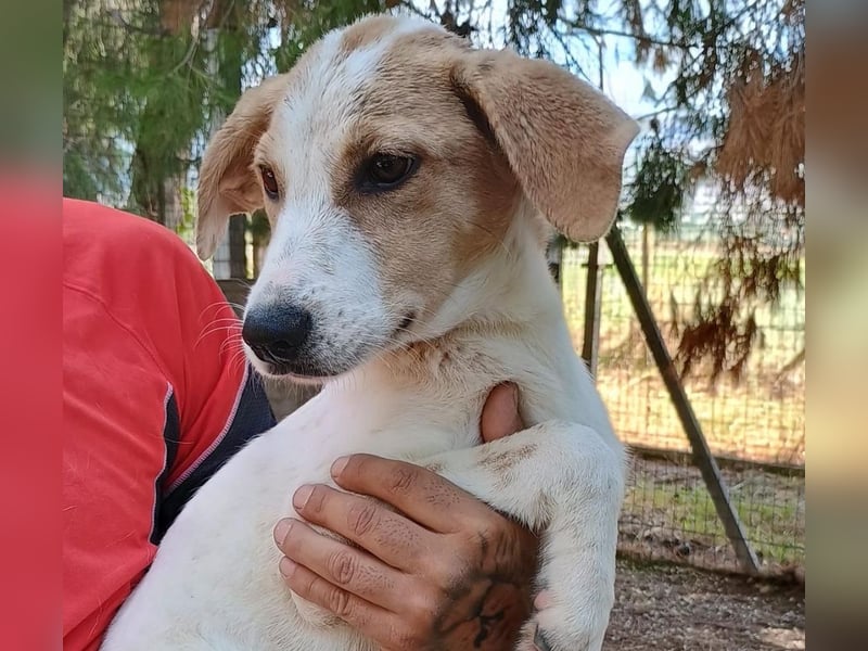 ALTEA - die den Namen einer spanischen Stadt trägt