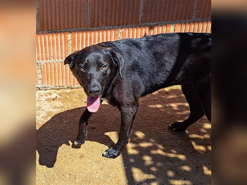 Enid - ein Traum in Schwarz mit Weiß