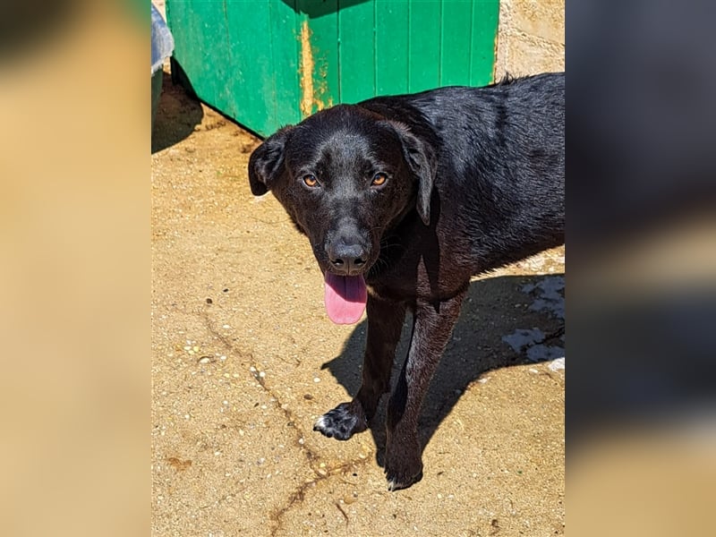 Enid - ein Traum in Schwarz mit Weiß