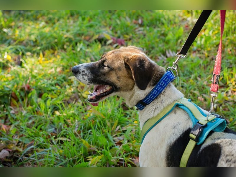 NADA - ich träume von einer lieben Familie, in der ich geliebt, umsorgt und geachtet werde