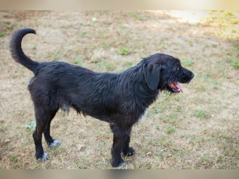 YUNO - welche Familie möchte mir ihre Zeit und ihr Herz schenken?