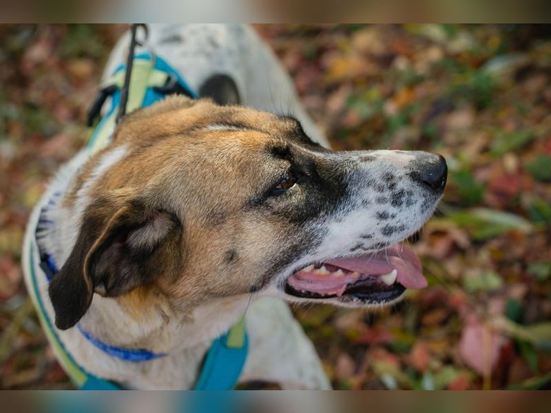 NADA - ich träume von einer lieben Familie, in der ich geliebt, umsorgt und geachtet werde