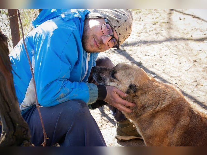 JARO - wer schenkt dem lieben Rüden ein tolles Zuhause?