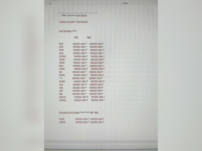 JAX - wer zeigt dem gemütlichen, zugänglichen und braven Rüden, wie schön das Leben sein kann?