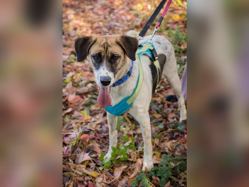 NADA - ich träume von einer lieben Familie, in der ich geliebt, umsorgt und geachtet werde