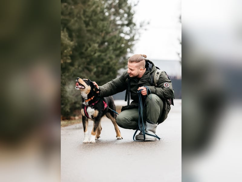 Kluge Marissa sucht aktives Zuhause