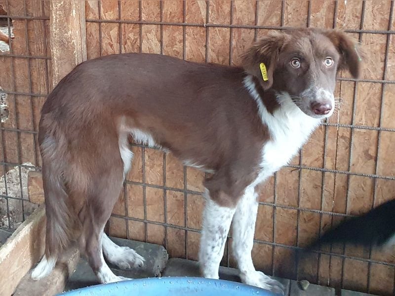 ♥LYRA♥ wunderschöne, ganz liebe, sensible Seele 54 cm