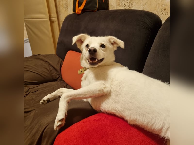 Julia ❤️ eine Kämpferin sucht ihr Zuhause