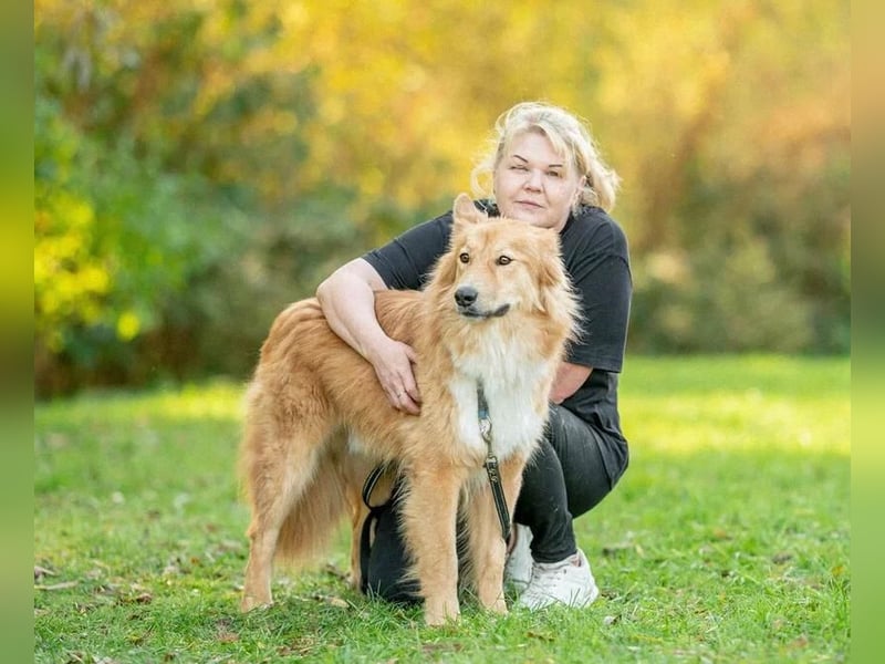 Spayk ❤️sensibler Hundebub sucht geduldige und erfahrene Menschen