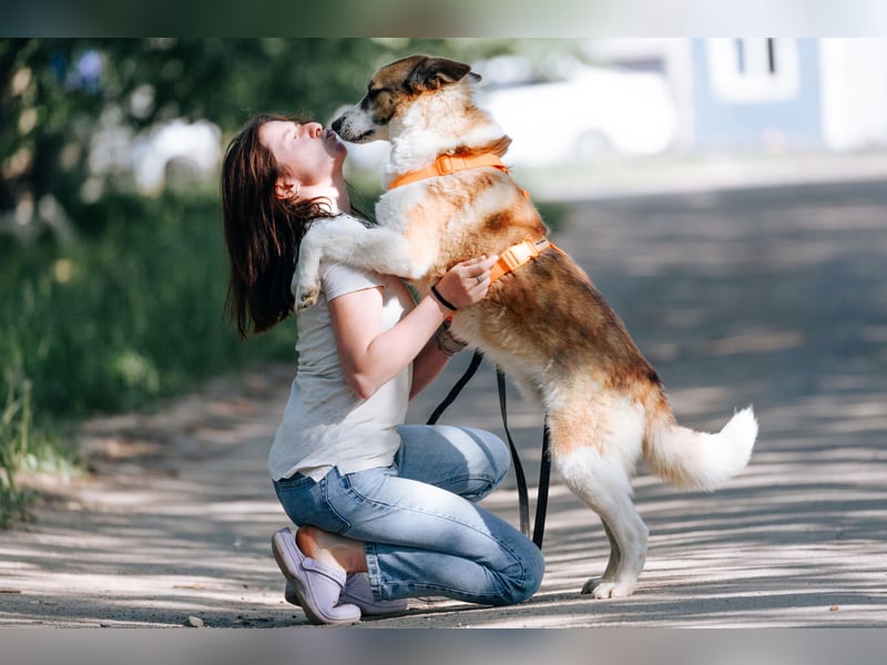 Freundlicher Abenteurer Ushan ❤️ sucht naturverbundene Menschen