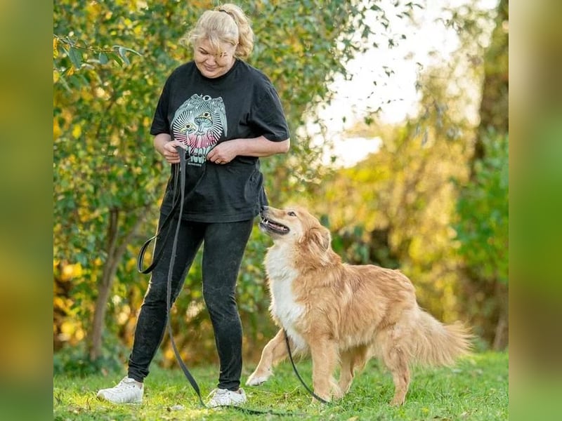 Spayk ❤️sensibler Hundebub sucht geduldige und erfahrene Menschen