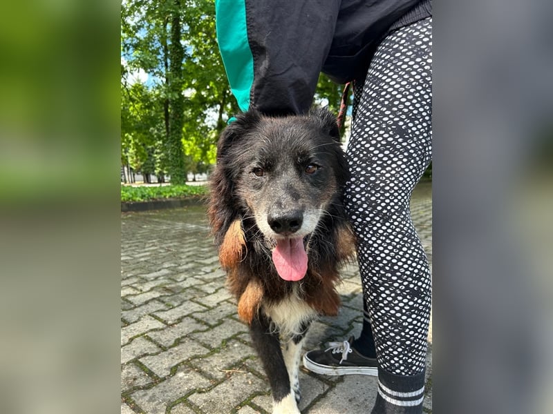 Hektor wartet auf seine family ❤️