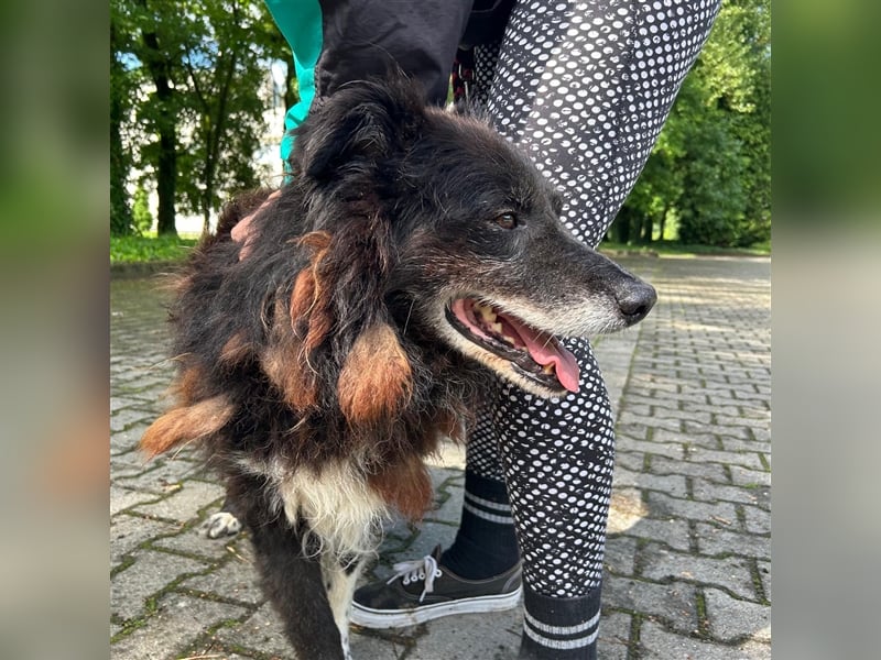 Hektor wartet auf seine family ❤️