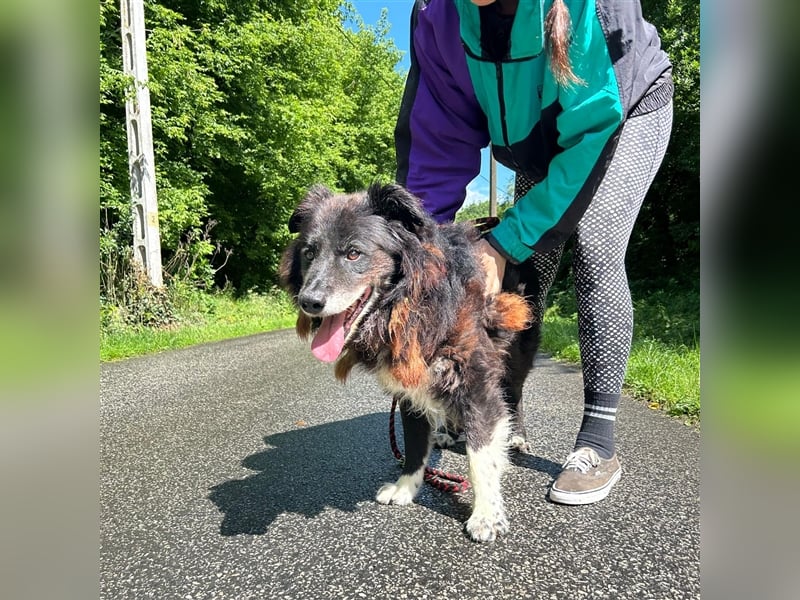 Hektor wartet auf seine family ❤️