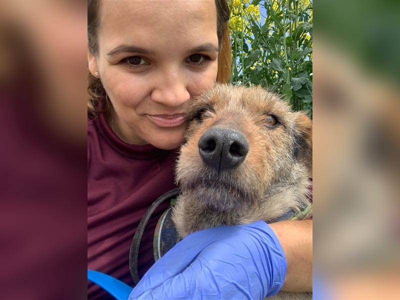 Sanfter Rüde Oakley sucht seine Familie