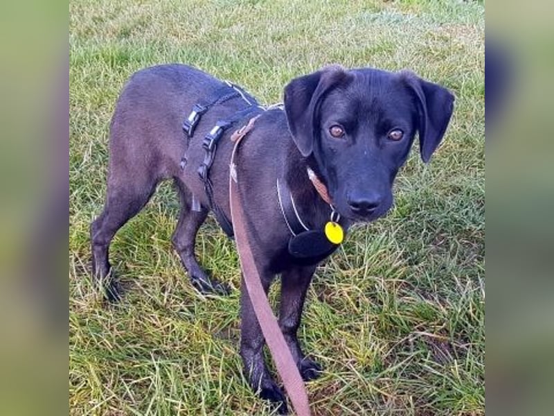 Eroica - TOP-Youngster: wissbegierig, lernwillig, jung