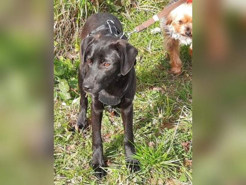 Eroica - TOP-Youngster: wissbegierig, lernwillig, jung